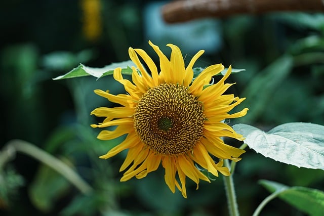 县委书记在全县金融工作座谈会上的讲话