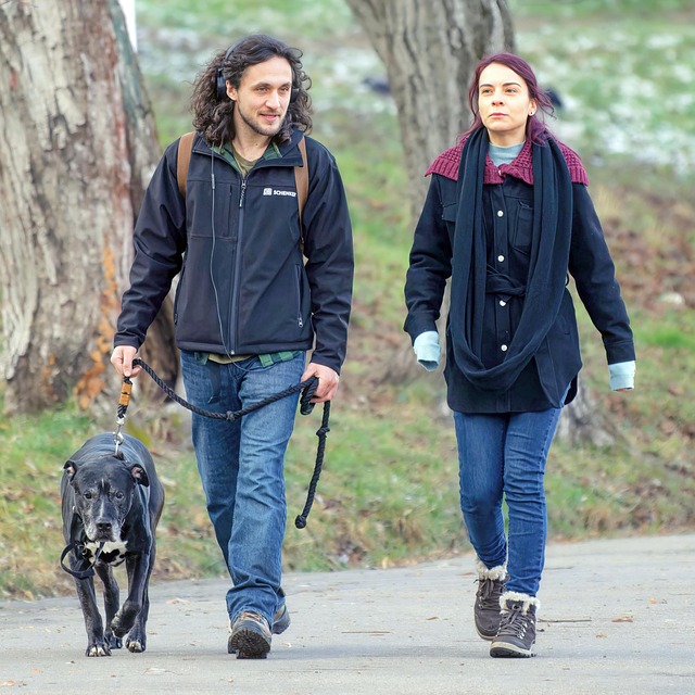 校园十佳歌手活动总结汇报 校园十佳歌手活动总结怎么写