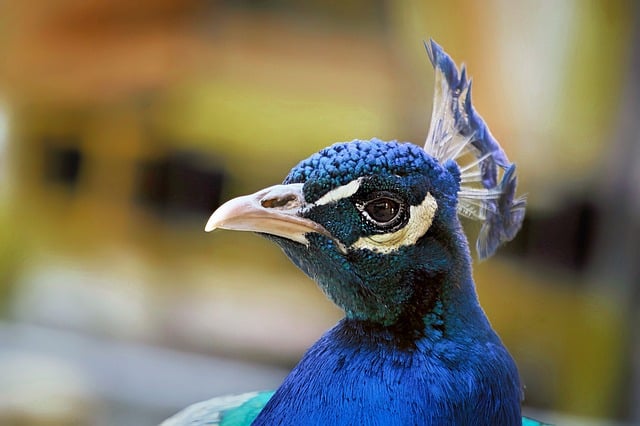 市场调查报告模板集合6篇