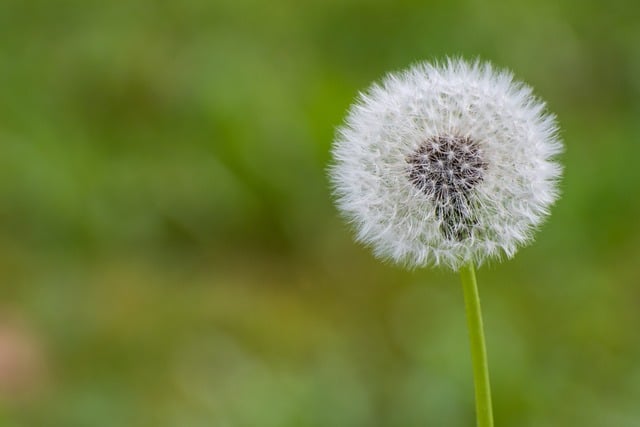 小区业委会工作情况汇报及下一步工作计划