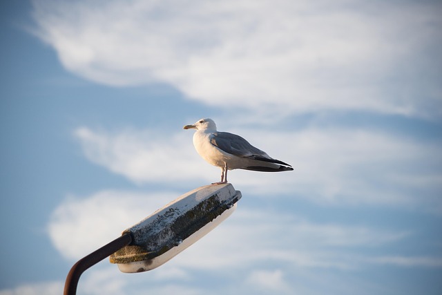 行政工作个人述职报告