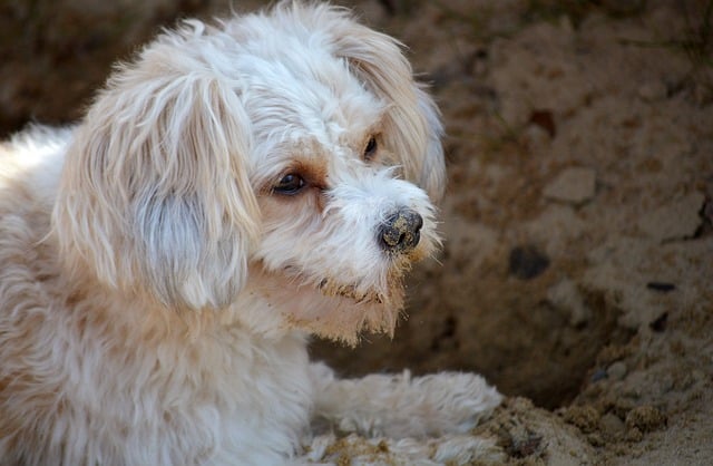 有关医院实习总结集锦九篇