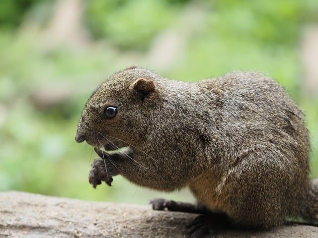 办公室员工月工作总结范文,个人总结