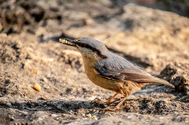 学生调查报告五篇