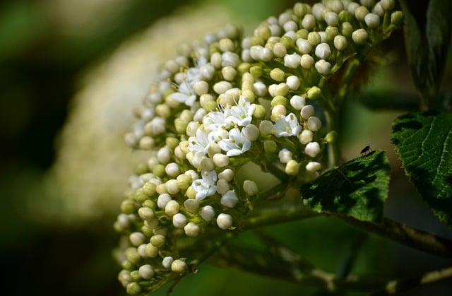 2020初中元宵节联欢晚会主持稿开场白
