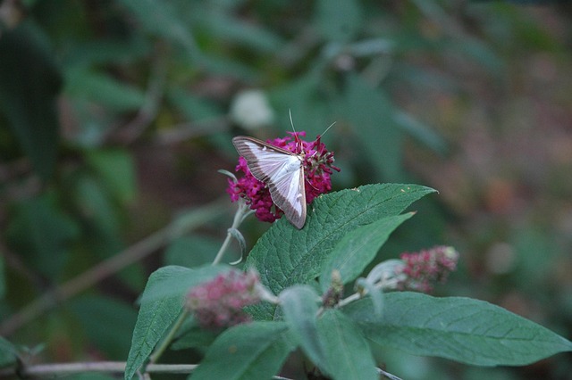 强降雨受灾情况报告 暴雨受灾情况报告