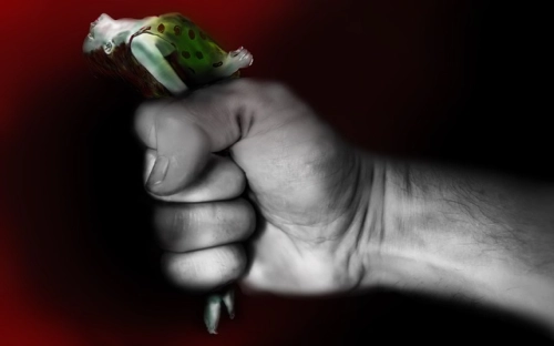 关于农村家庭暴力的调查报告-春林公文网