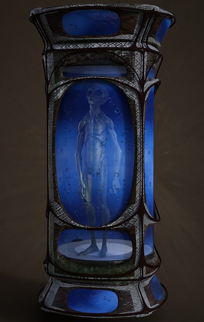 检视发挥党员先锋模范作用方面存在的问题及整改措施范文-莲山课件