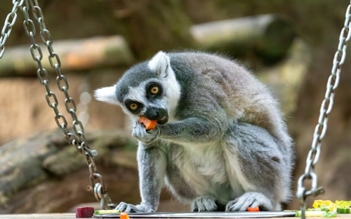 中国股票投资市场调查分析报告-春林公文网