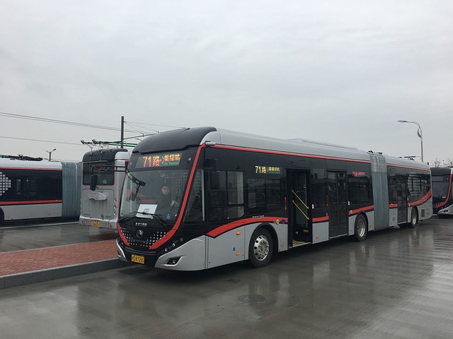 公交企业入党申请书