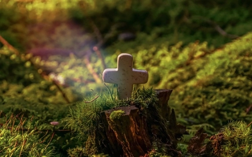 母亲节的一封感谢信-春林公文网