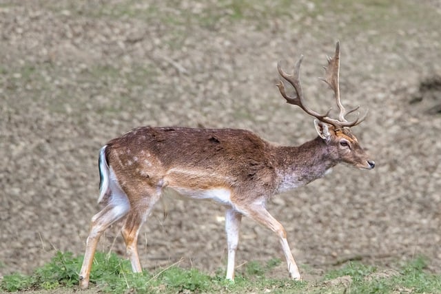 汕头市污水处理费征收使用管理办法