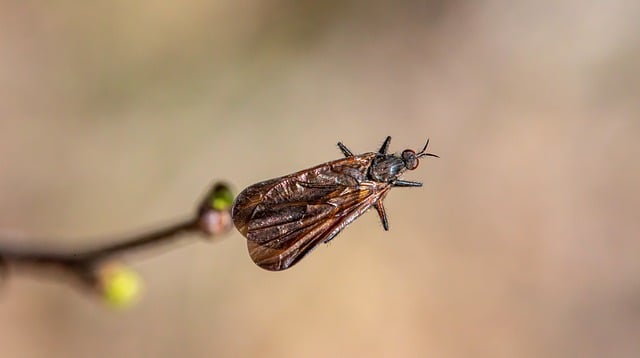 贵州省民族乡保护和发展条例
