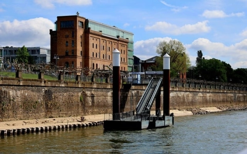 县地税局党组整改方案-春林公文网