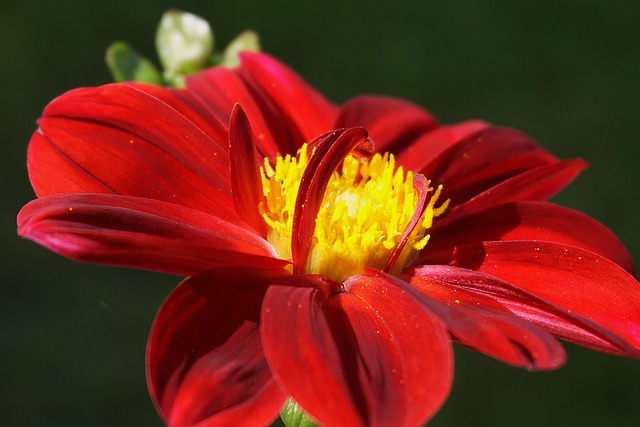 落实全面从严治党主体责任清单2021最新