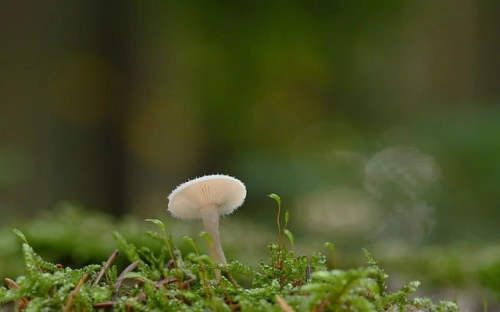 西藏自治区行政执法人员资格认证和行政执法证管理办法-春林公文网