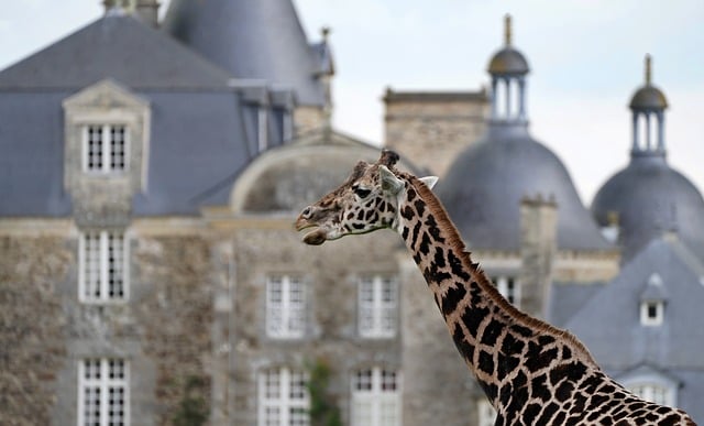 最新西餐厅工作简历精选