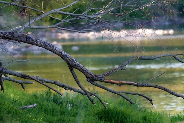 2017年入党申请书通用范本