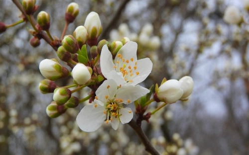 温馨五一祝福短信-春林公文网