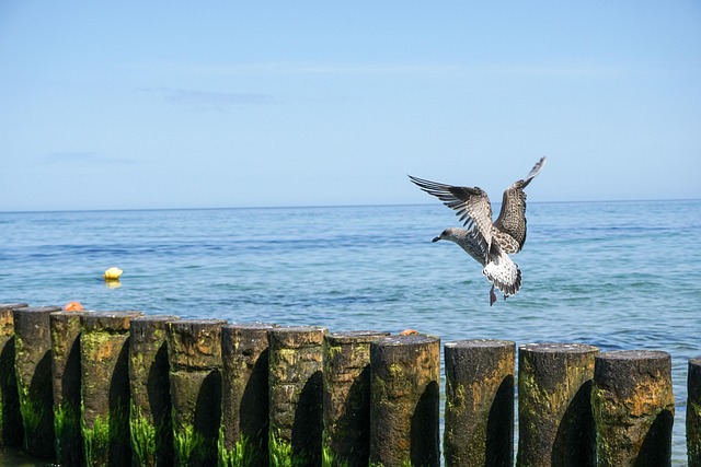 基层减负自查整改报告范文五篇