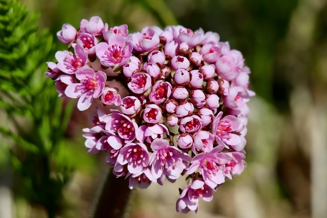 在全区第一季度经济形势分析会上的讲话