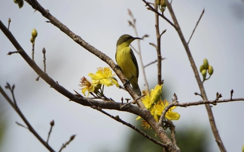 2022年春节放假通知怎么写简单 春节放假通知模板范文最新3篇-春林公文网