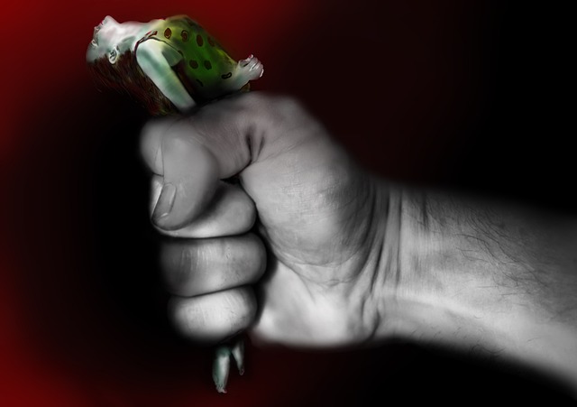 2019研究生开题报告范文（最新）