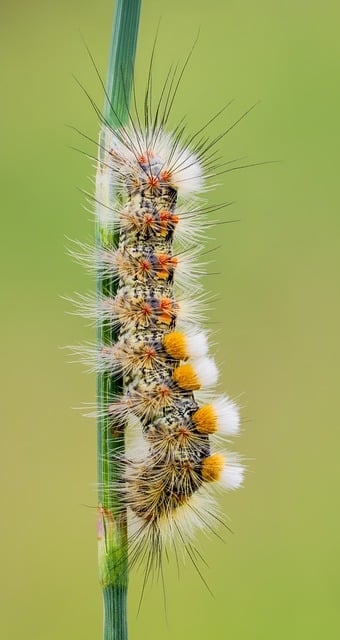 2021年安全生产月宣传标语 安全生产月横幅标语汇总