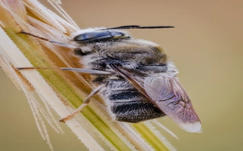 有关个人自查报告汇编9篇-春林公文网