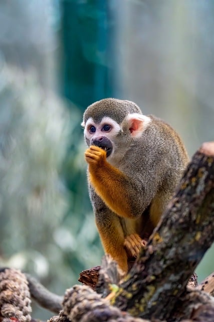 社会调查报告范文汇编6篇