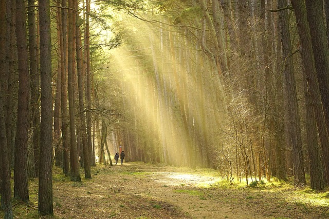 县计委纪检组长述职报告