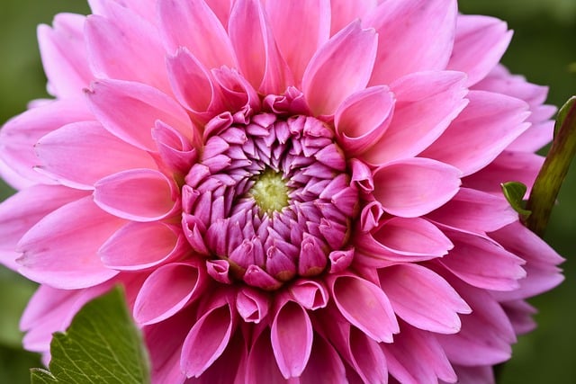 春节祝福语2021最火 春节的祝福语句大全