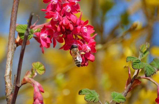 省农民体协2009年工作总结及2012年工作安排