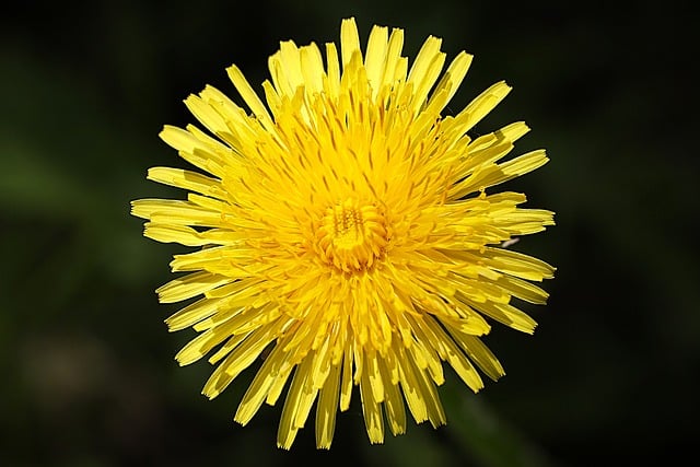 农村集体土地使用权合理规范的流转