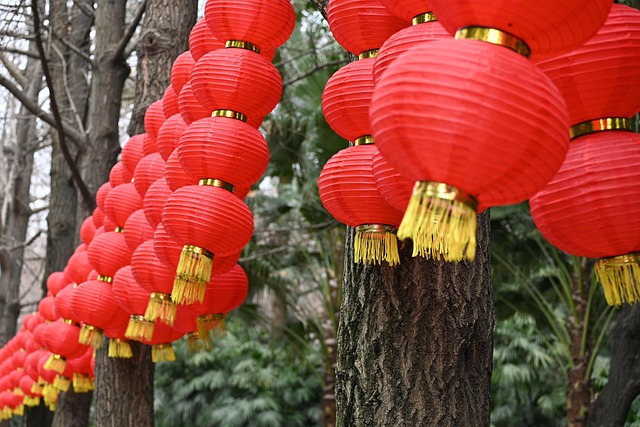 机关单位春节慰问信