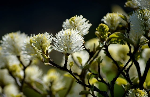 建筑工程清包合同