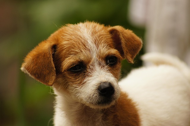 生物化工专业毕业生求职信