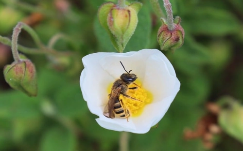 关于镇卫生院的半年工作总结精选篇荐读-春林公文网