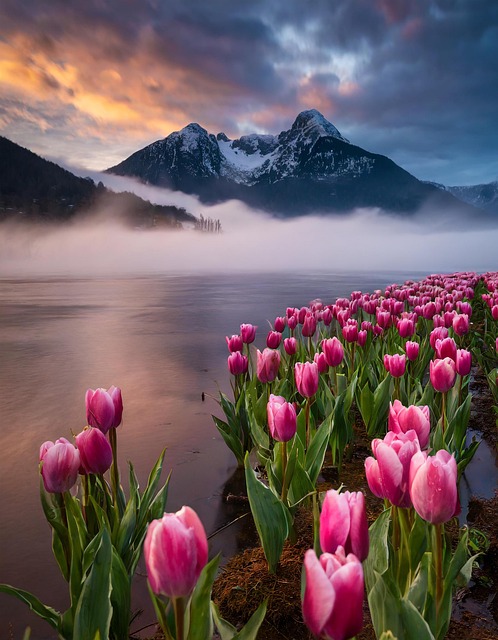 山村实践归来总结