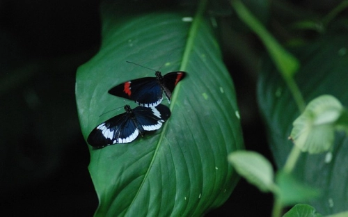 感恩倡议书两篇-春林公文网