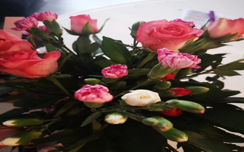 2012年村主任助理工作总结-春林公文网