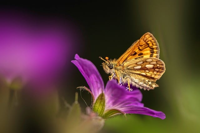 2021年党员教师个人对照检查材料范文精选3篇