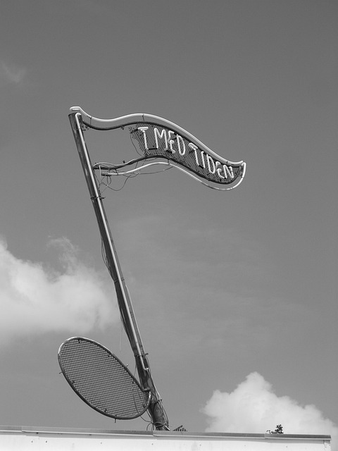 关于旧住宅小区物业管理的问题与建议