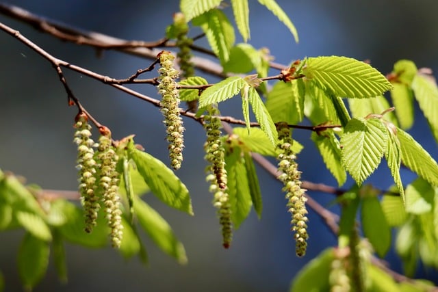2016年商务握手礼仪常识荐读