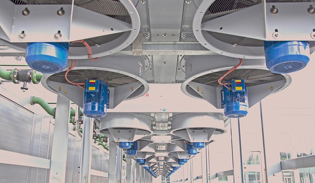 就业和职业社会调查报告