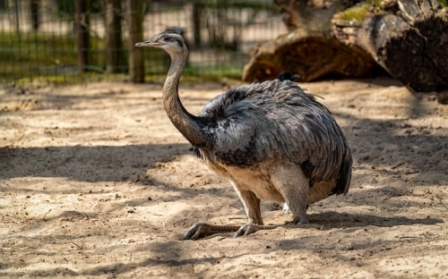 2022医生入党申请书最新 医生入党申请书2022最新版-春林公文网