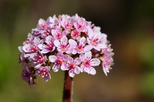 教师节庆典活动主持词范文