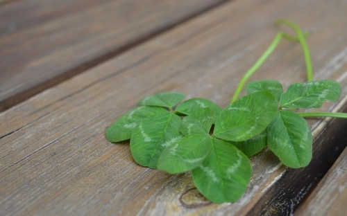 六一儿童节发言稿 2012庆六一儿童节国旗下的讲话-春林公文网