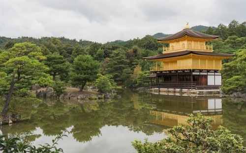 精选计划方案六篇-春林公文网