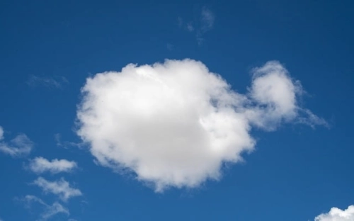 武汉市纪念“六·五”世界环境日宣传活动总结-春林公文网